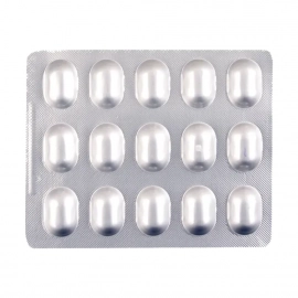 TEMSAN H
